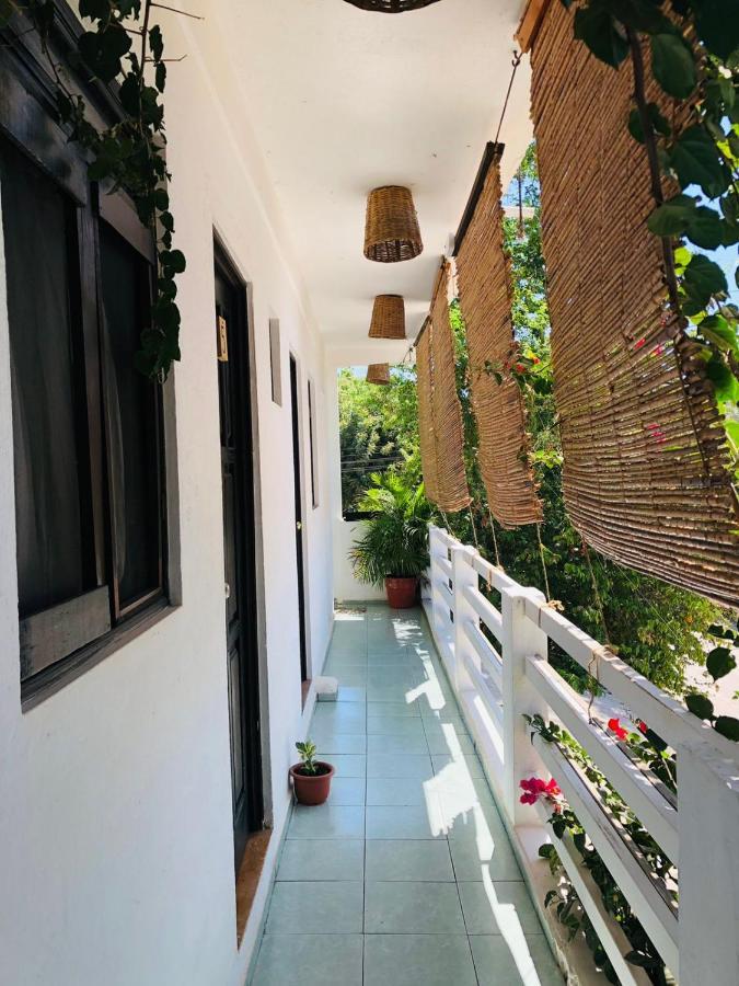 بيت شباب Chaak بويرتو إسكونديدو المظهر الخارجي الصورة