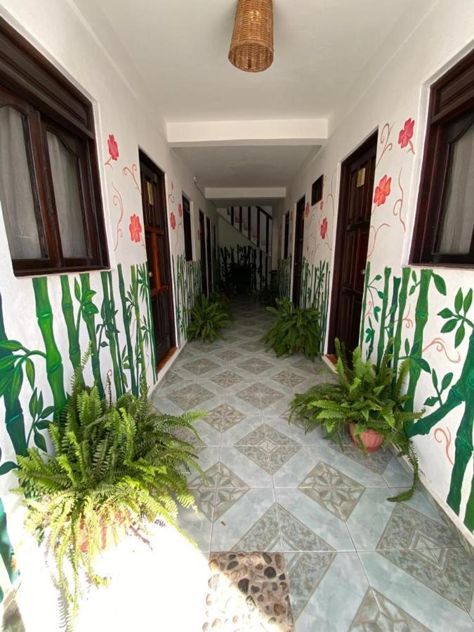 بيت شباب Chaak بويرتو إسكونديدو المظهر الخارجي الصورة